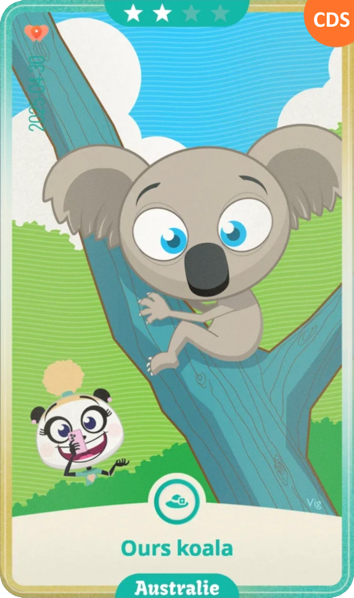 australia_06.png