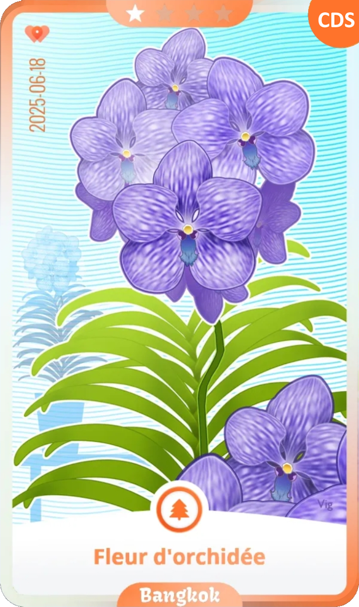 bangkok_01.png 