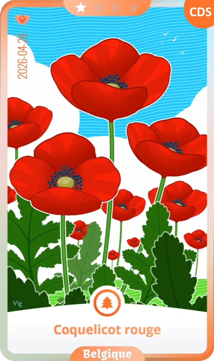 belgium_01.png