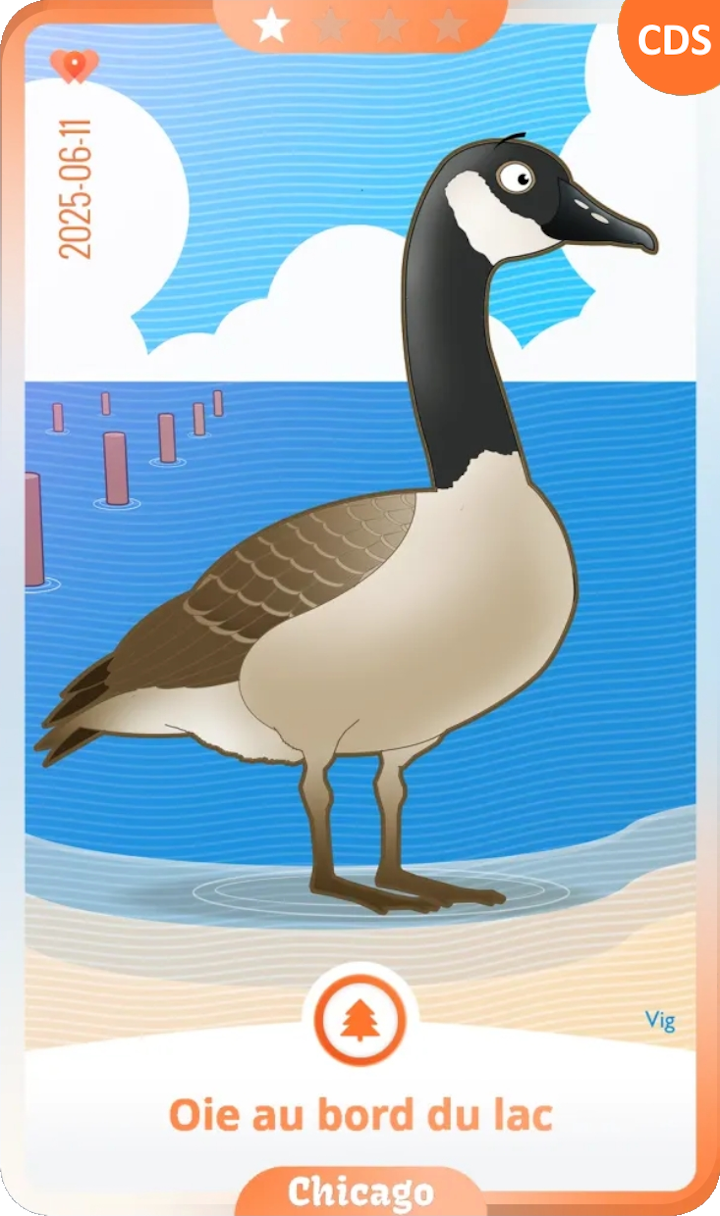 chicago_01.png