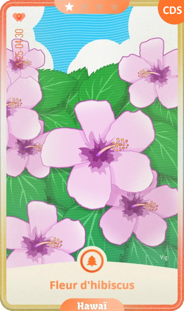 hawaii_01.png