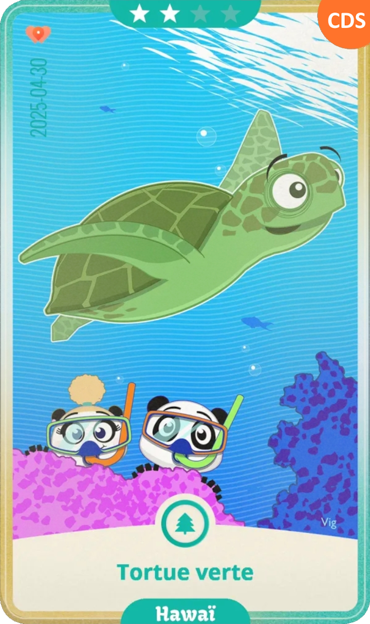 hawaii_06.png
