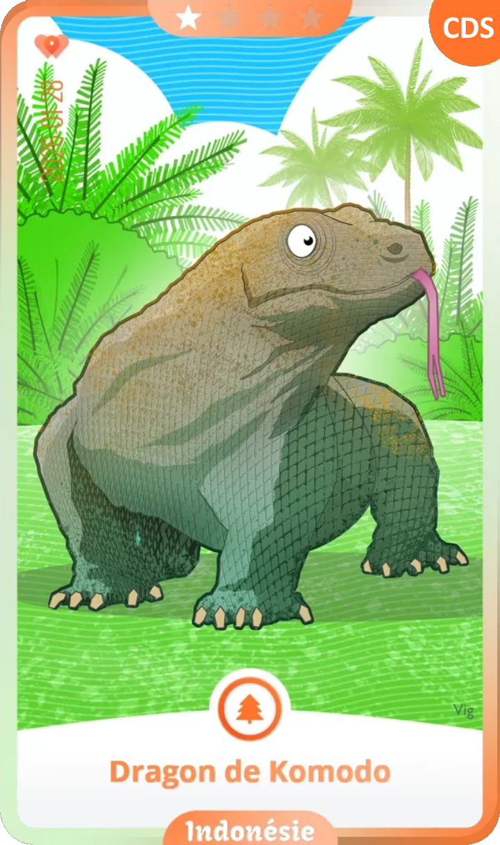 indonesia_01.png