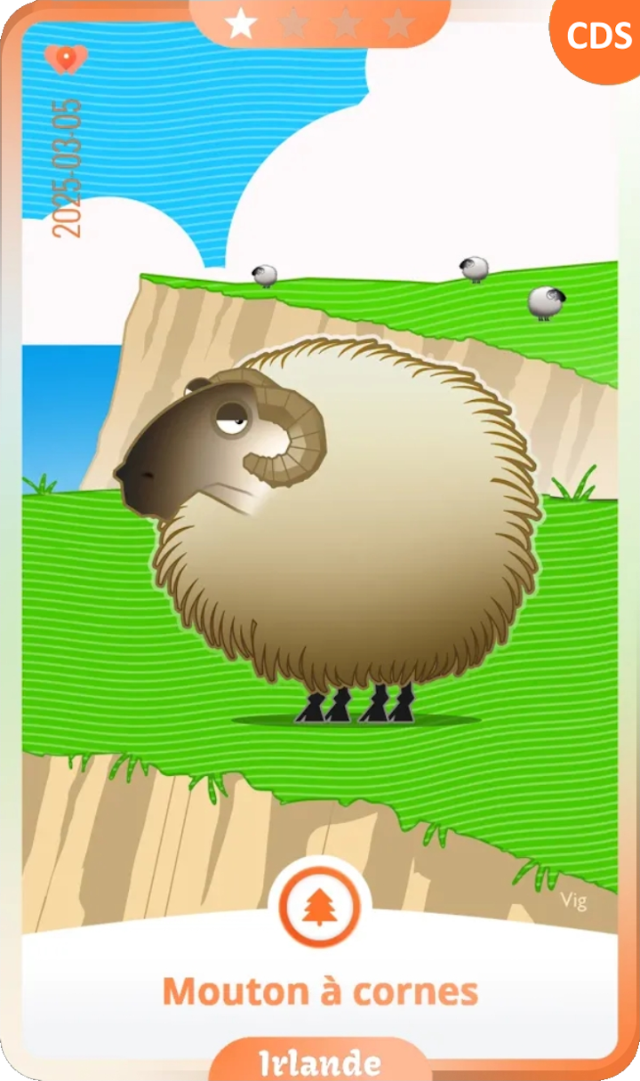 ireland_01.png