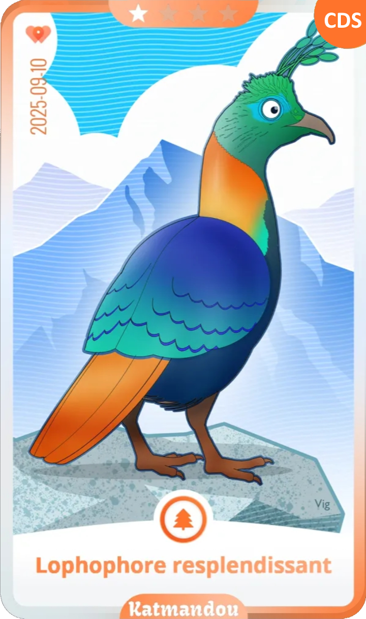 kathmandu_01.png