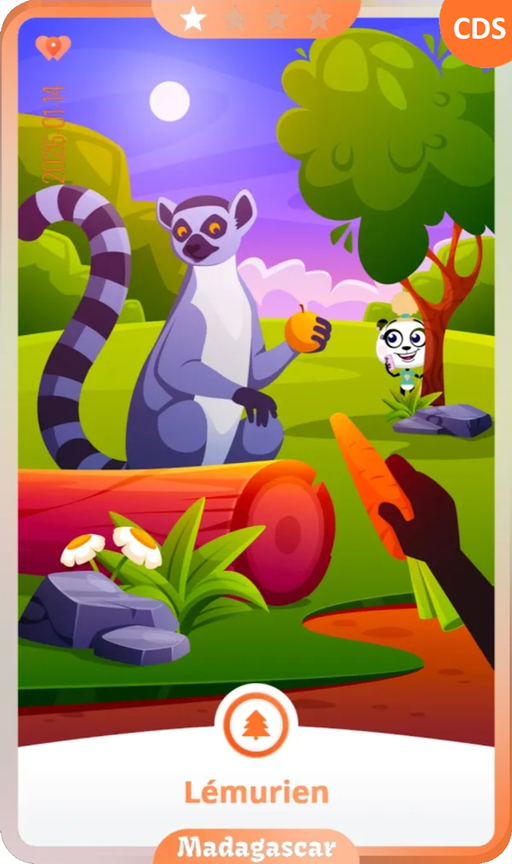madagascar_01.png