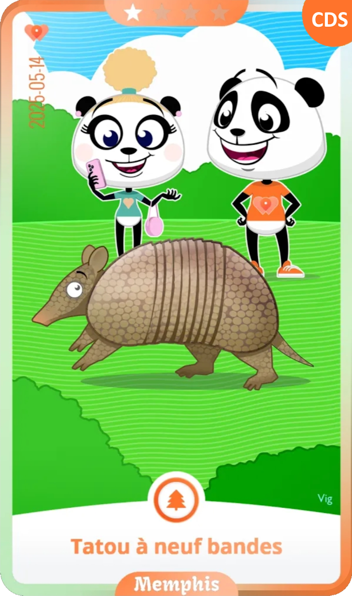 memphis_01.png