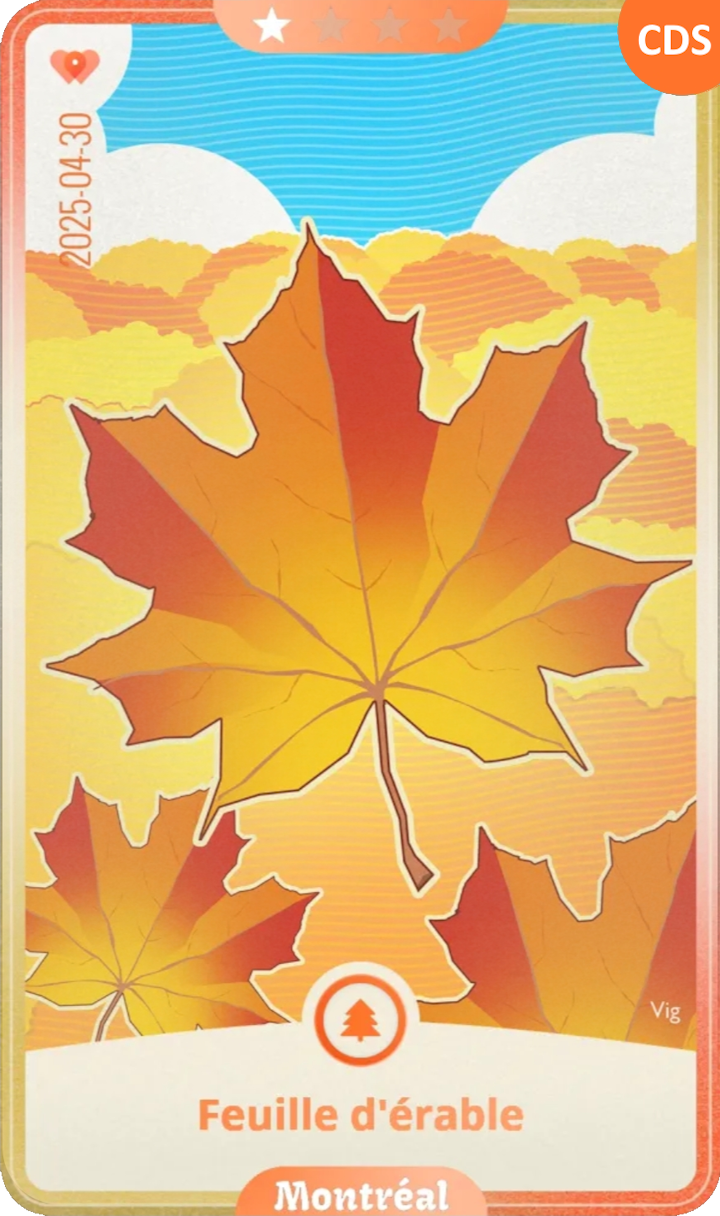 montreal_01.png