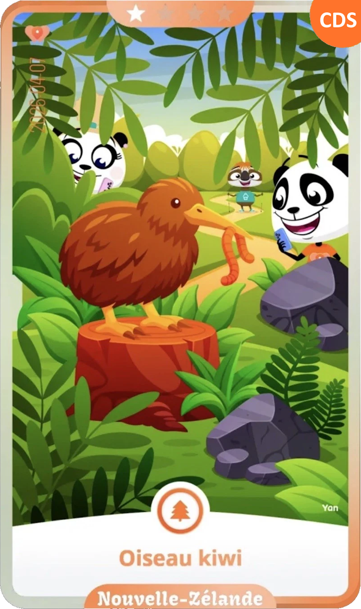 newzealand_01.png