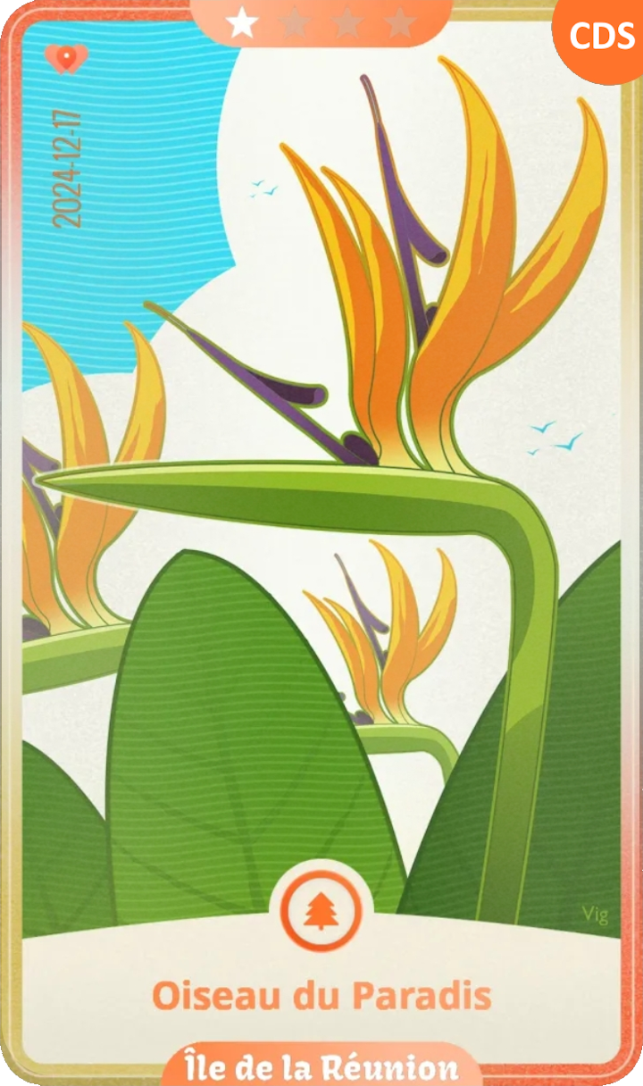 reunionisland_01.png
