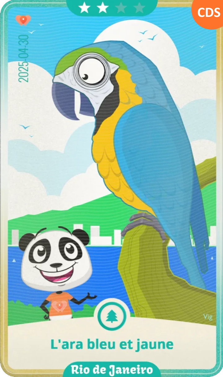 riodejaneiro_04.png