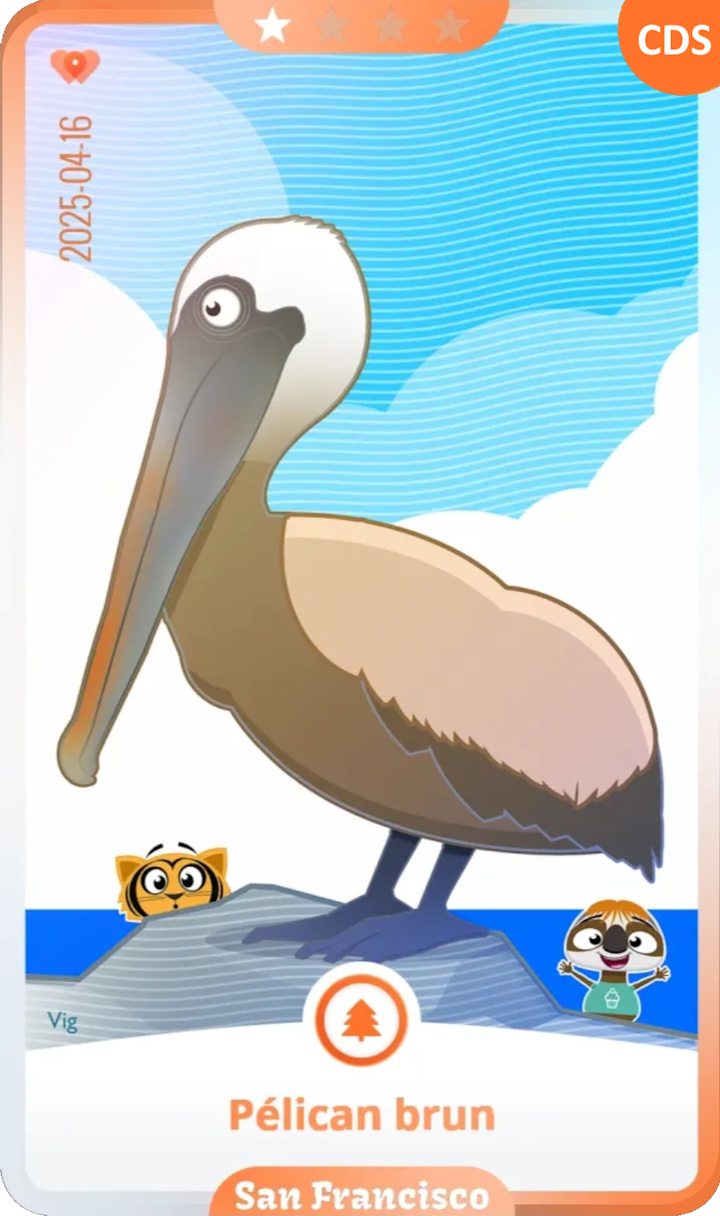 sanfrancisco_01.png