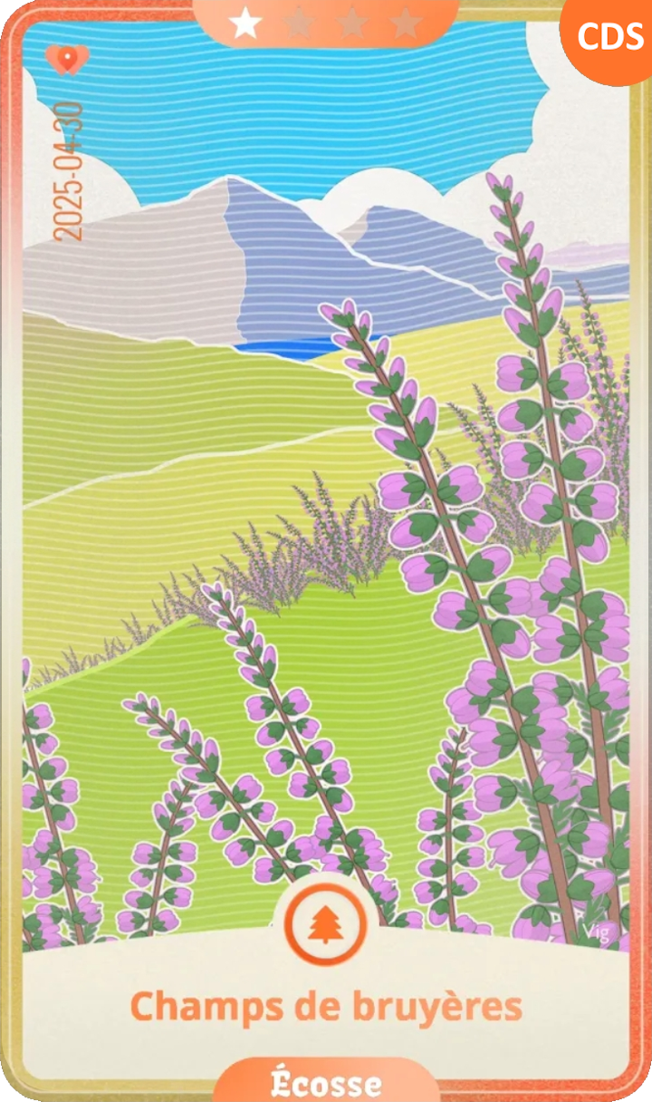 scotland_01.png