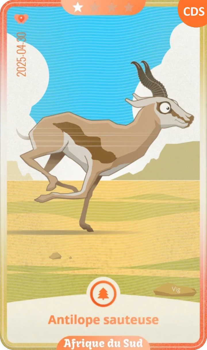 southafrica_01.png