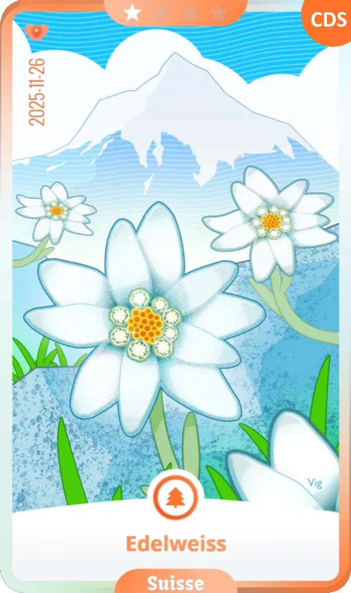 swiss_01.png