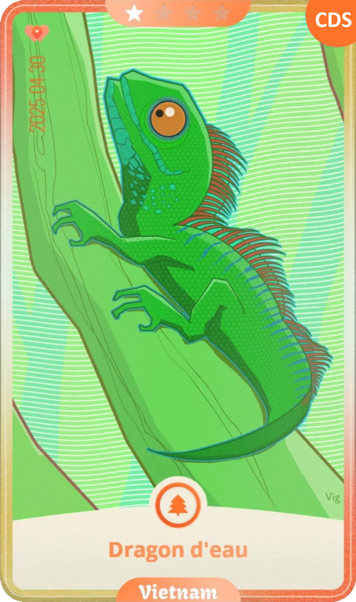 vietnam_01.png