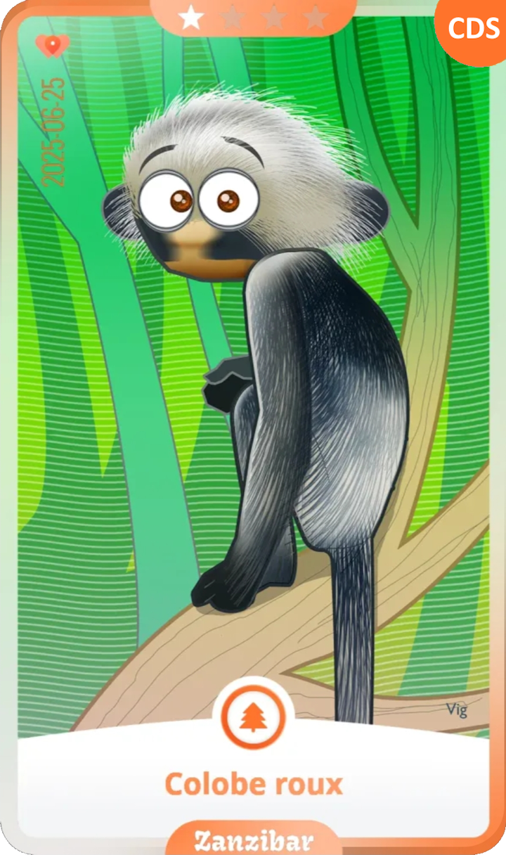 zanzibar_01.png